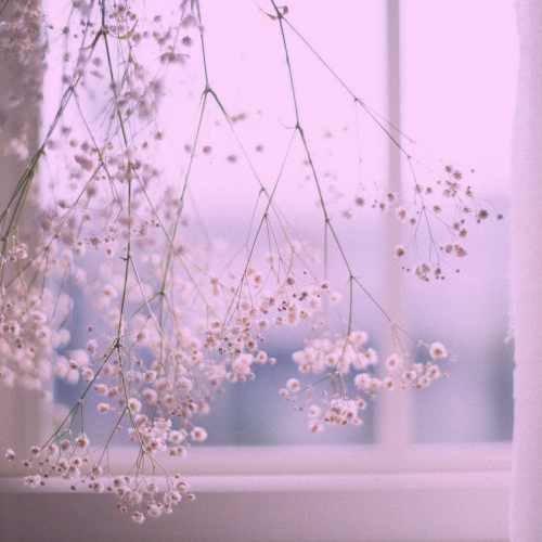 دانلود آهنگ میگن اسمش ثریاست چشاش هم رنگ دریاست دانلود آهنگ میگن اسمش ثریاست چشاش هم رنگ دریاست